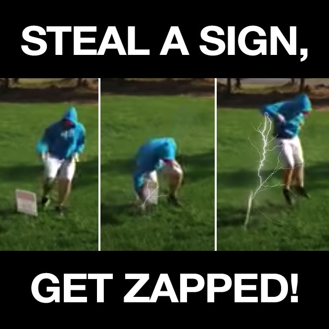 Theft of Political Yard Signs