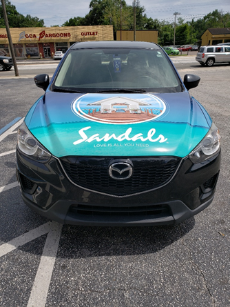 Your Guide to Car Wraps, Prices and More