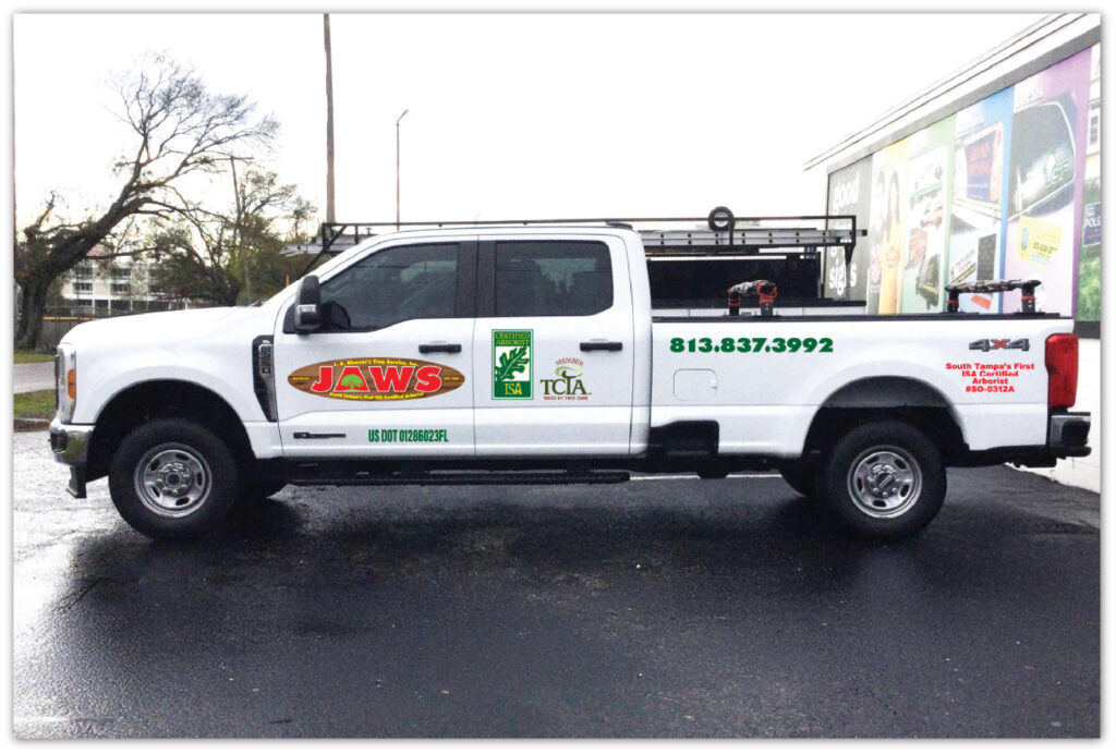 pickup truck with 3M™ 40C printed graphics
