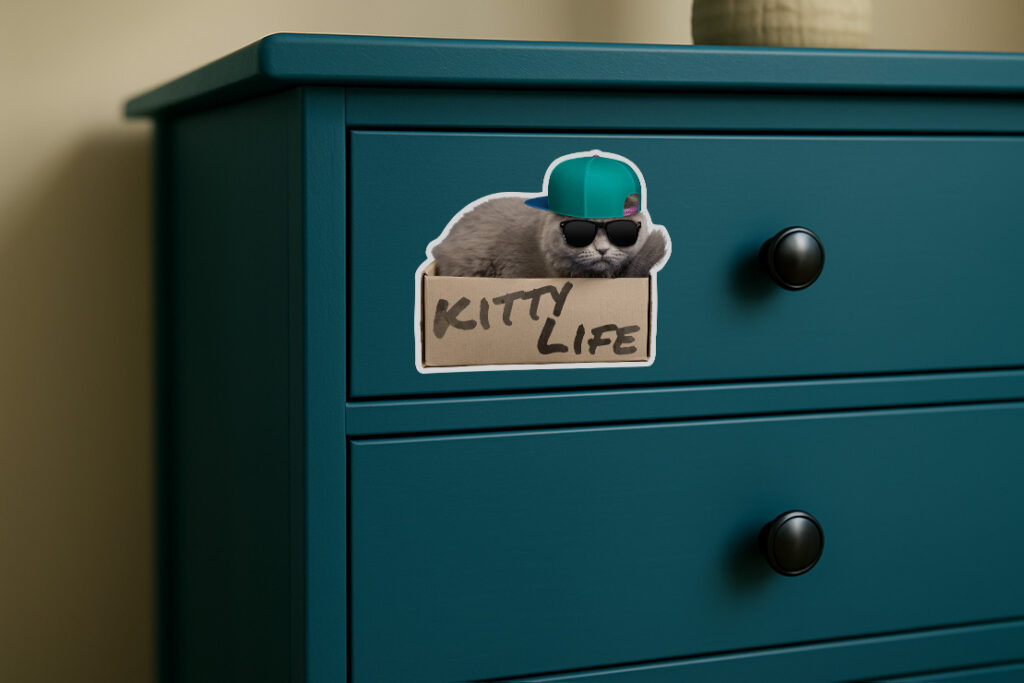 oracal 3621 decal on painted dresser