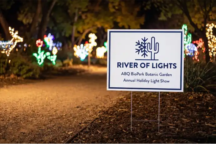 Albuquerque Yard Signs