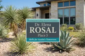 Austin Political Yard Signs