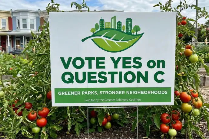 Baltimore Political Yard Signs
