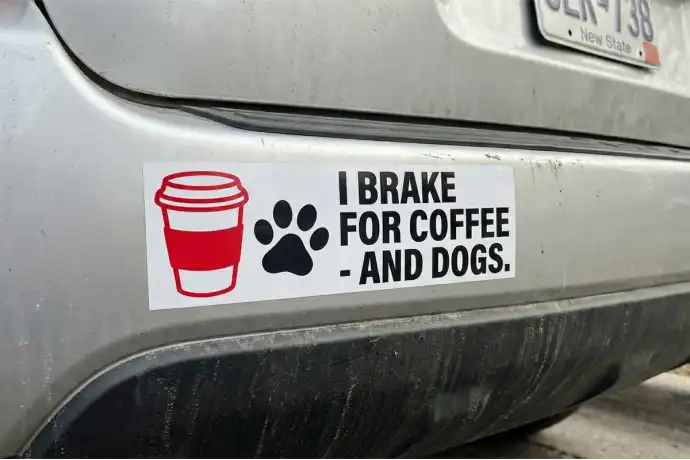 Bumper Stickers
