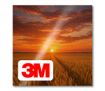 3M Gloss (Recommended)
                                                     