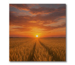 Matte Lamination (200m)
                                                      