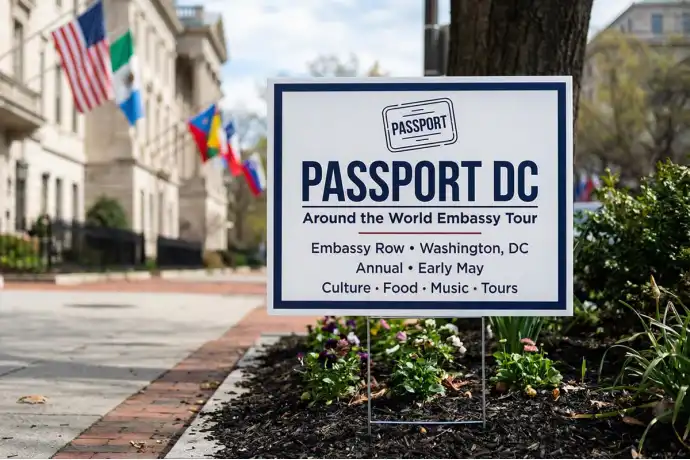 Washington DC Yard Signs