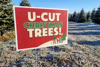 Christmas Tree Lot Yard Signs