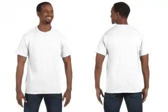 Hanes 5250T Mens/Unisex Tagless®  T-Shirt